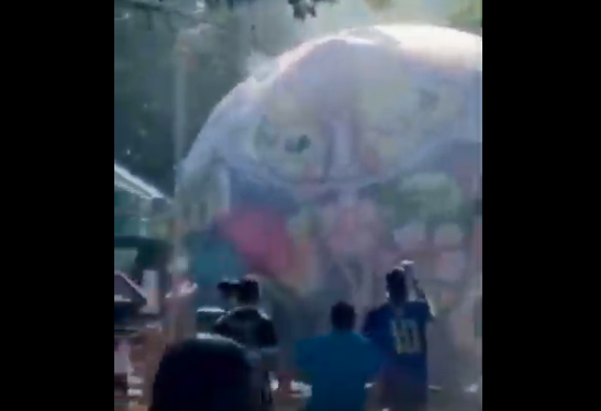 Balão cai dentro do Parque do Ibirapuera e assusta frequentadores