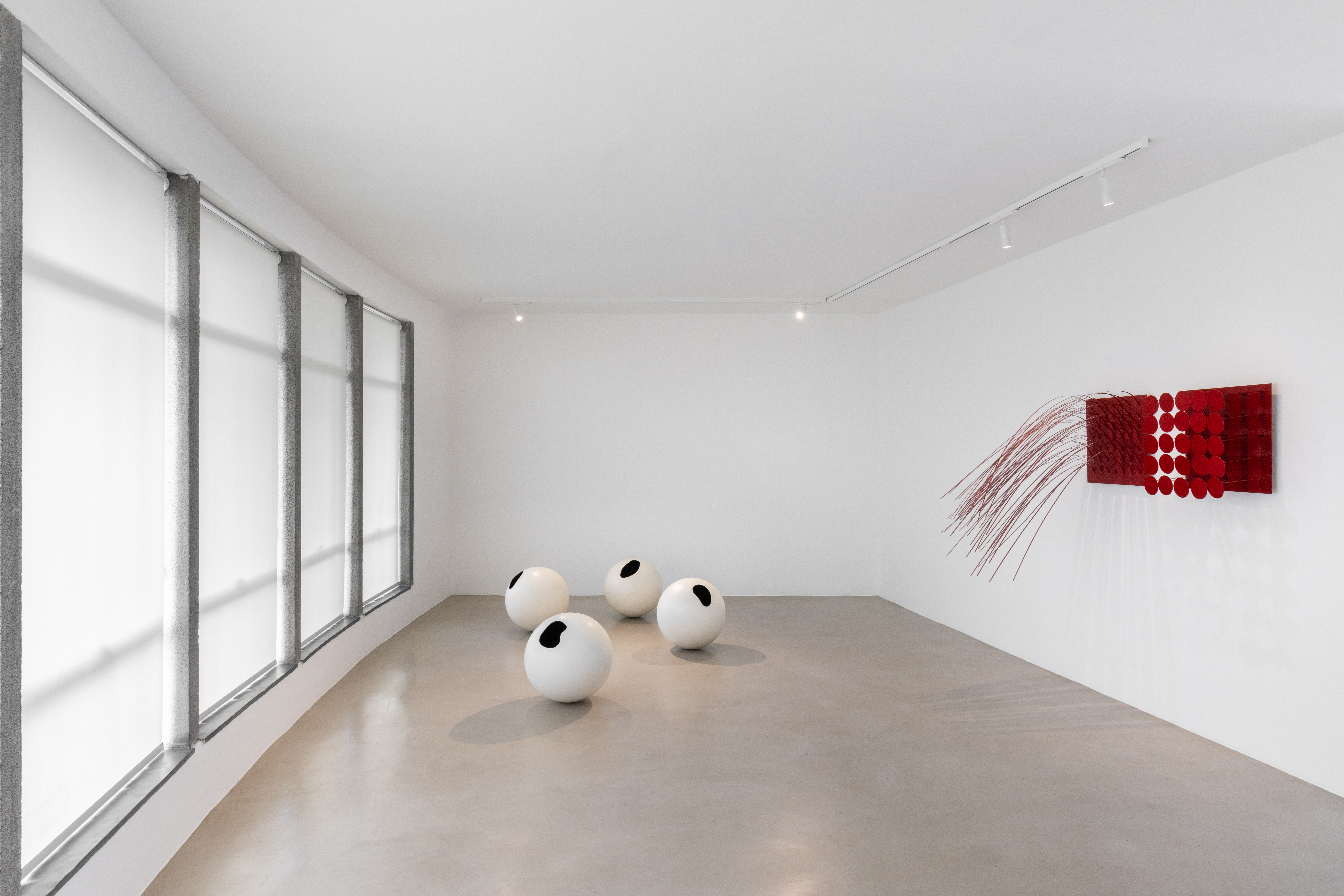 lygia pape mendes wood dm