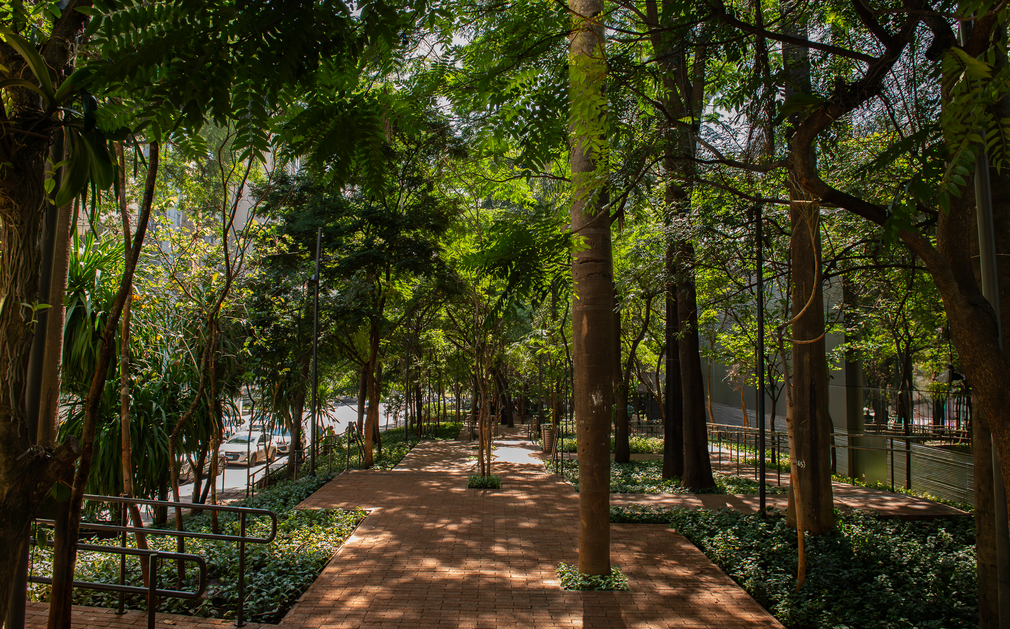 Prévias Jardim Cidade SP-1