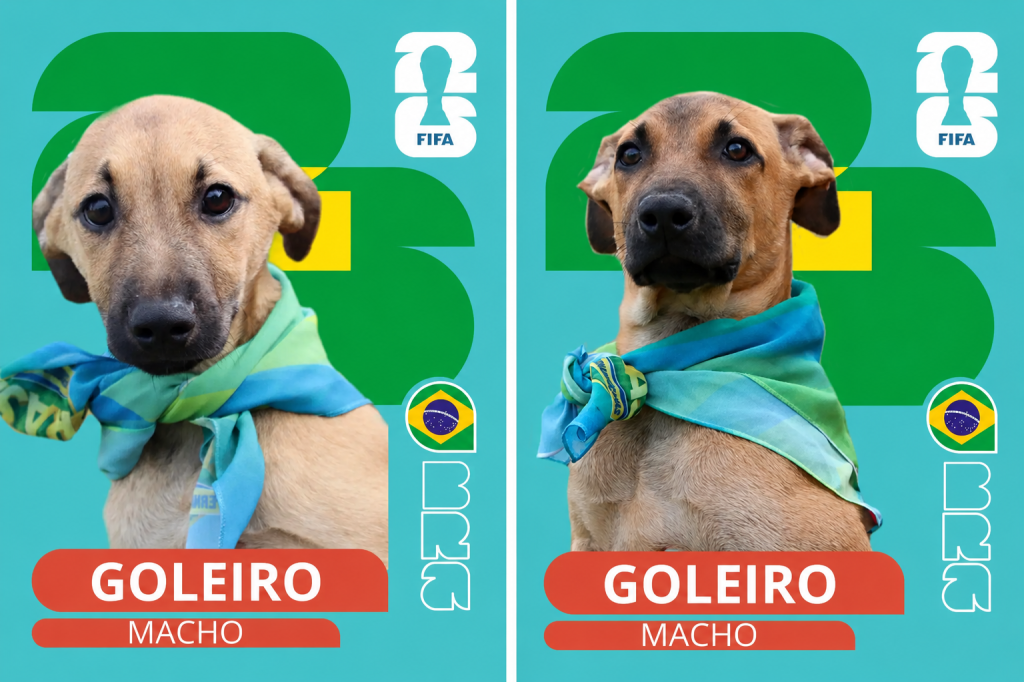 Cidade do interior de SP cria álbum inspirado em Copa para inspirar adoções de pets