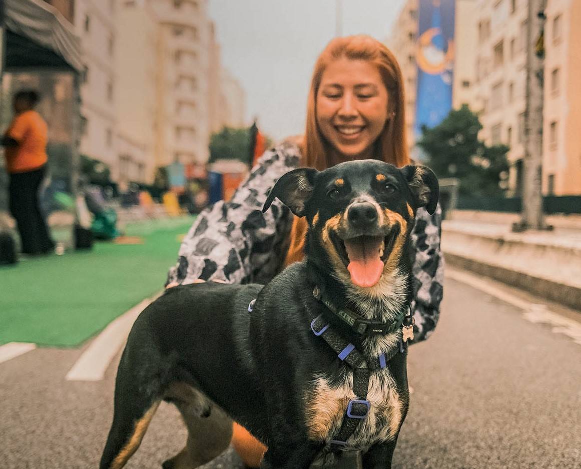 Projeto fotográfico no Minhocão retrata o vínculo entre cães e tutores