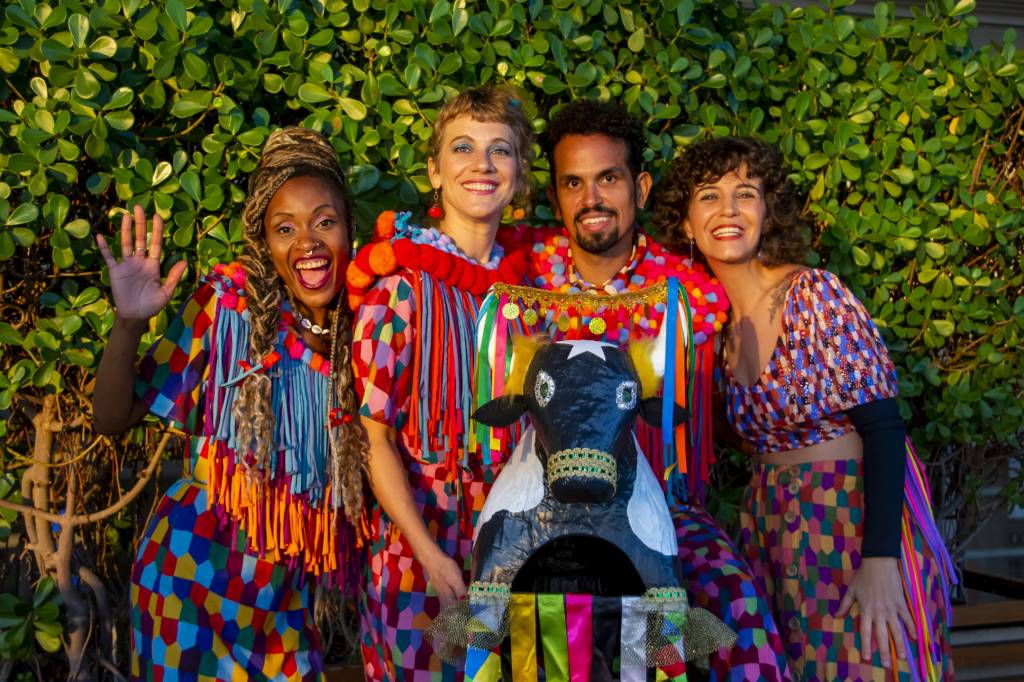 11 músicas juninas animam show de Cris Barulins