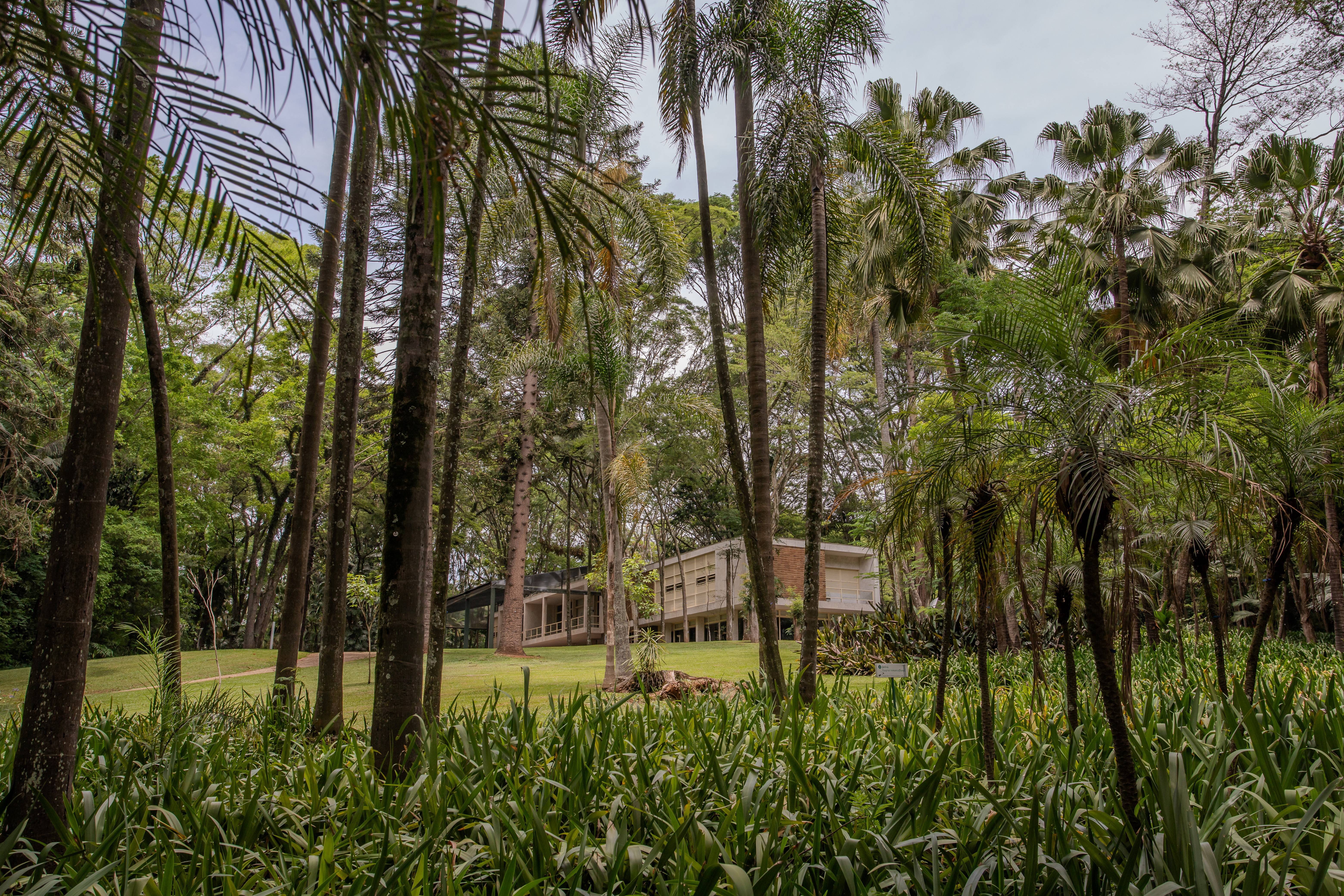 5 motivos para conhecer a Fundação Maria Luisa e Oscar Americano, no Morumbi