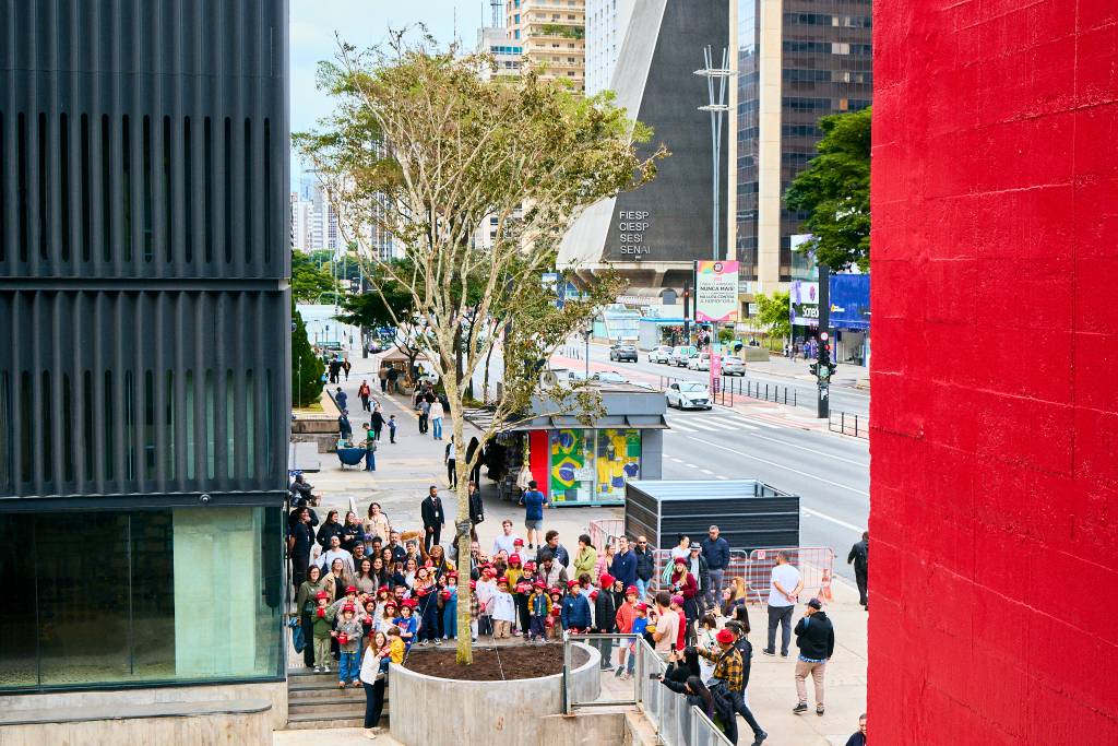 Masp planta jatobá de 15 anos na Avenida Paulista