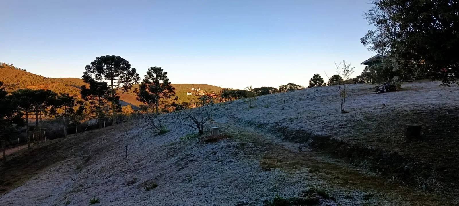 SP tem recorde de frio de 2026; confira orientações para a saúde