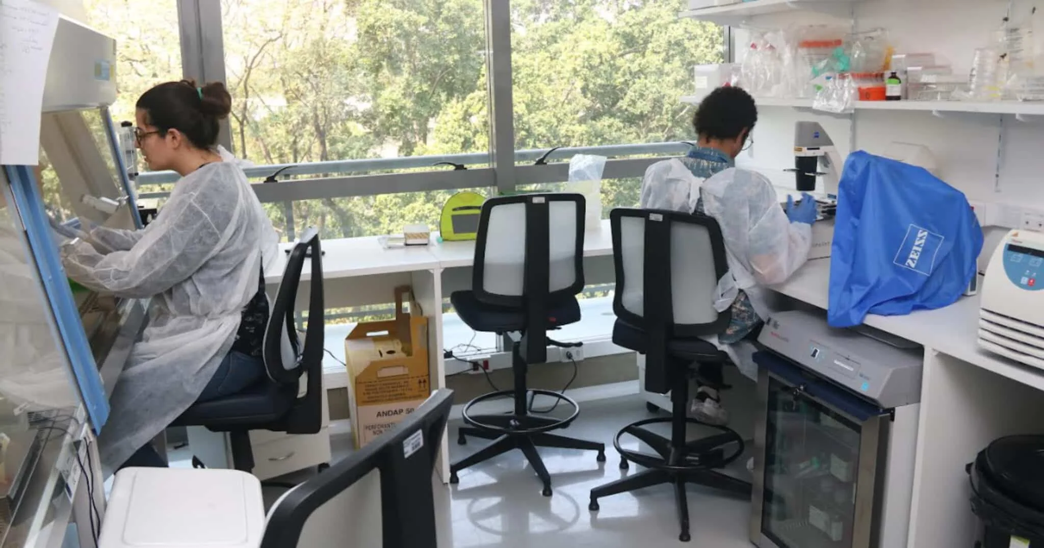 Instituto Pasteur usa inteligência artificial para mapear risco de dengue em SP
