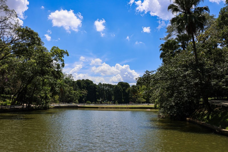 Horto Florestal tem vacinação gratuita e oficina de música no fim de semana