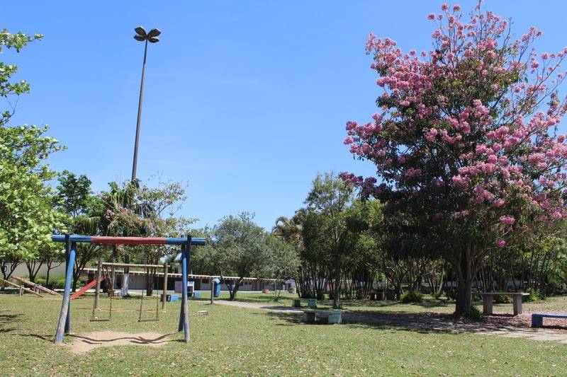 10 atividades gratuitas em parques de SP para fazer nas férias de julho