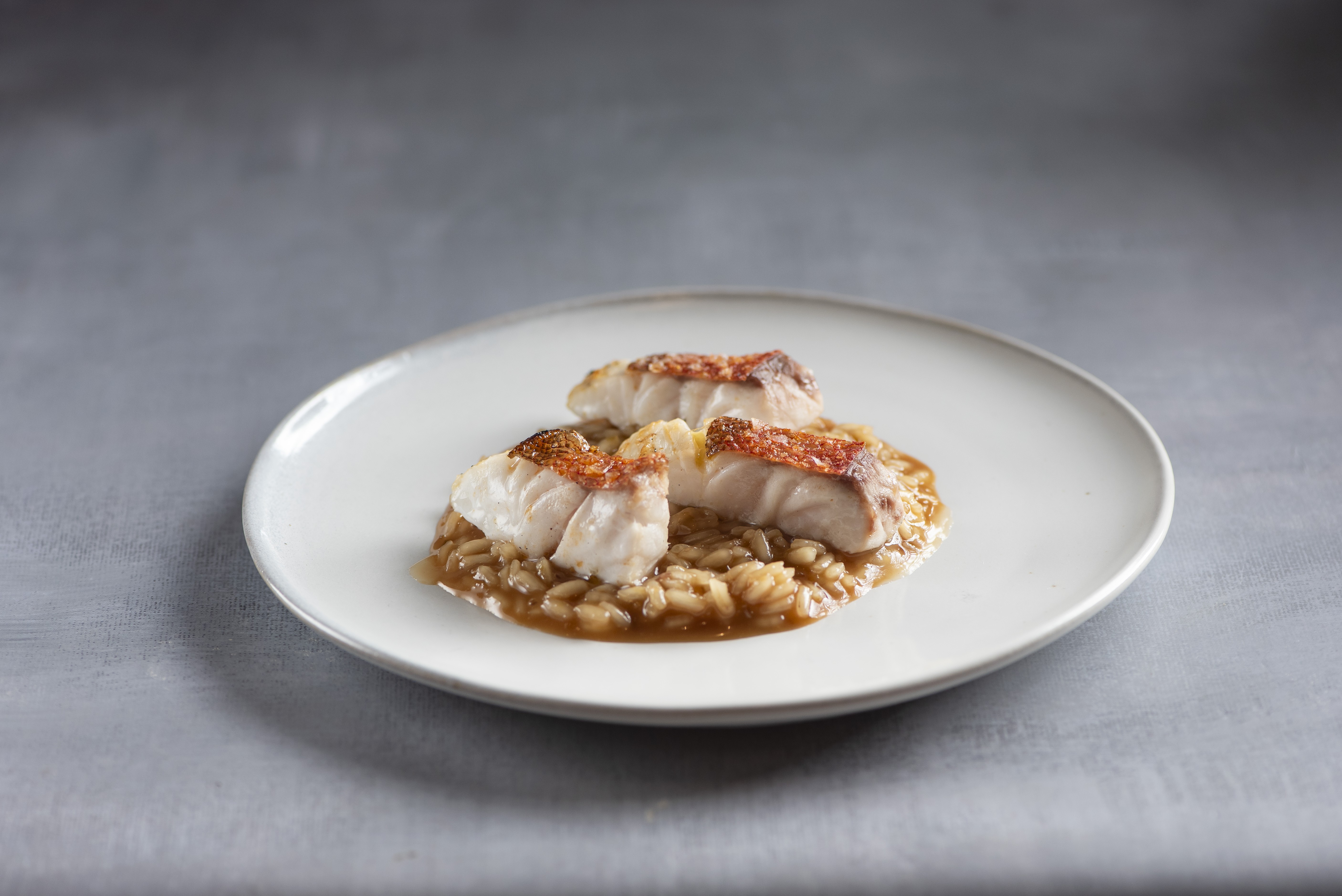 Tr&ecirc;s peda&ccedil;os de peixe branco grelhado com pele crocante e avermelhada, servidos sobre um leito de risoto cremoso em um prato branco, em fundo cinza