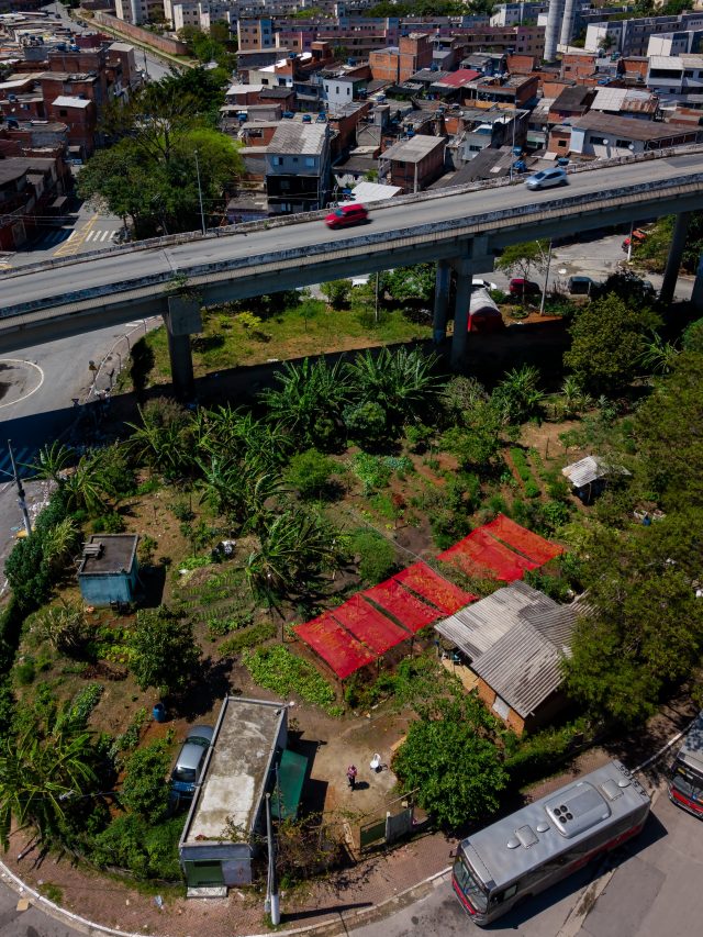 Capa de: Mulheres da periferia de SP transformam terreno tomado por entulho em horta urbana